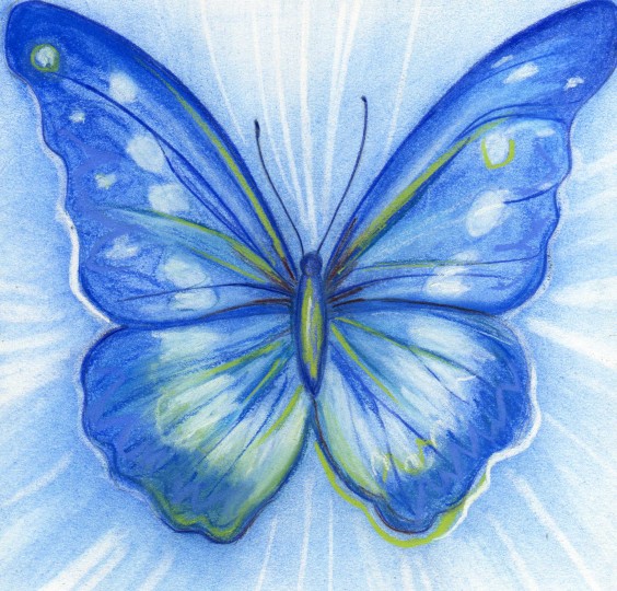 Blue Butterfly